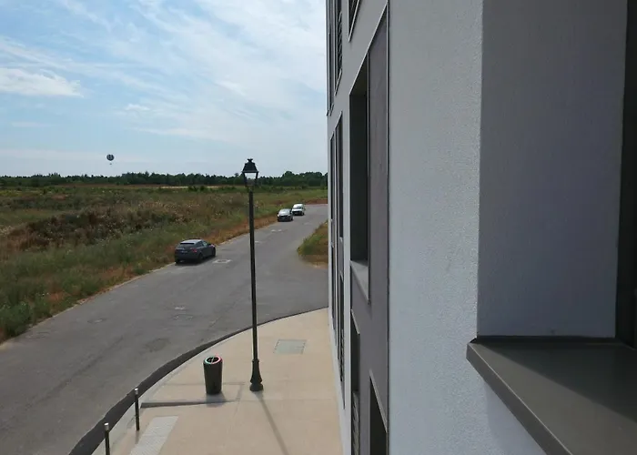 Duplex Disney